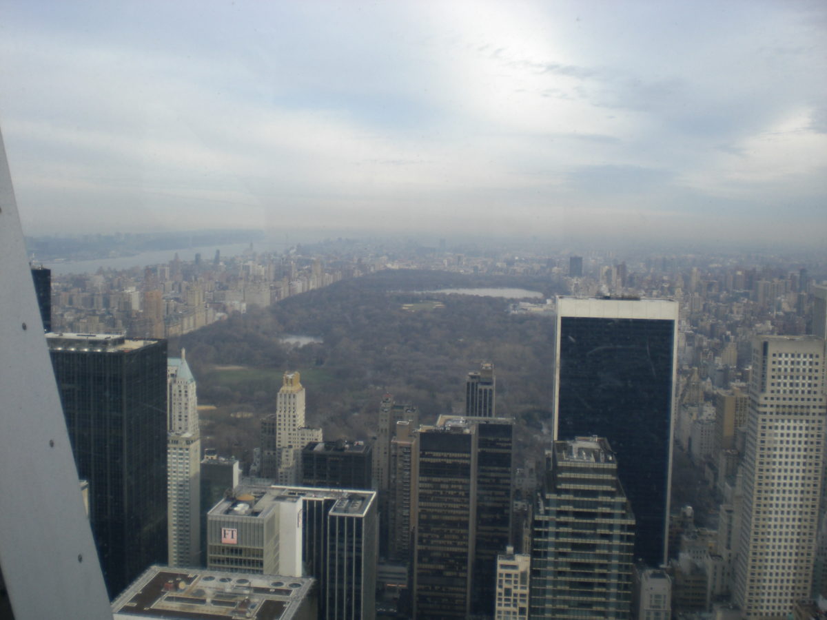 Vom Dach des Empire State Buildings sieht man viele Hochhäuser und den Central Park.