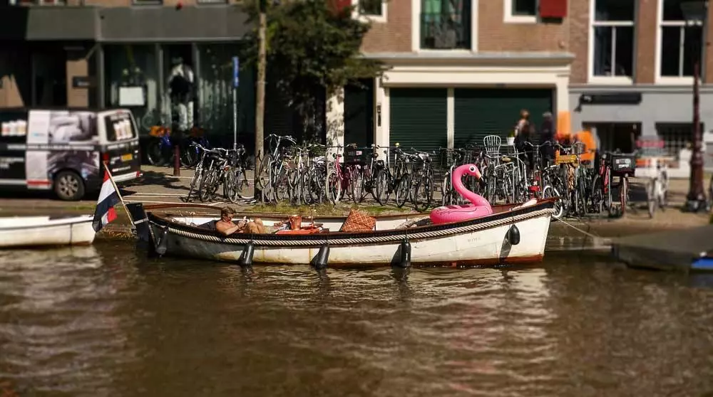 Boot mit pinkfarbenen Schwan in Amsterdam