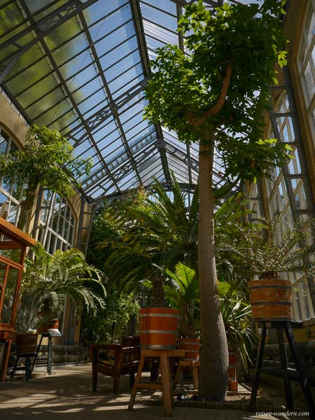 Bild: Palmenhaus im Botanischen Garten von Amsterdam