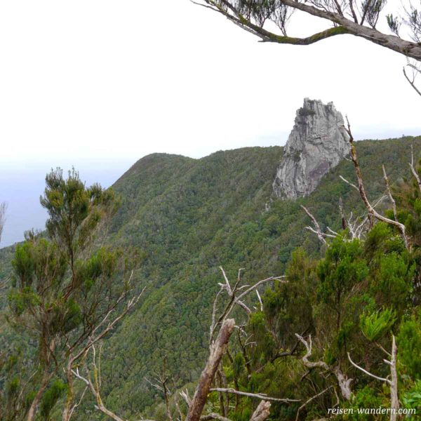 Fels Roque de Anambro im Anaga Gebirge