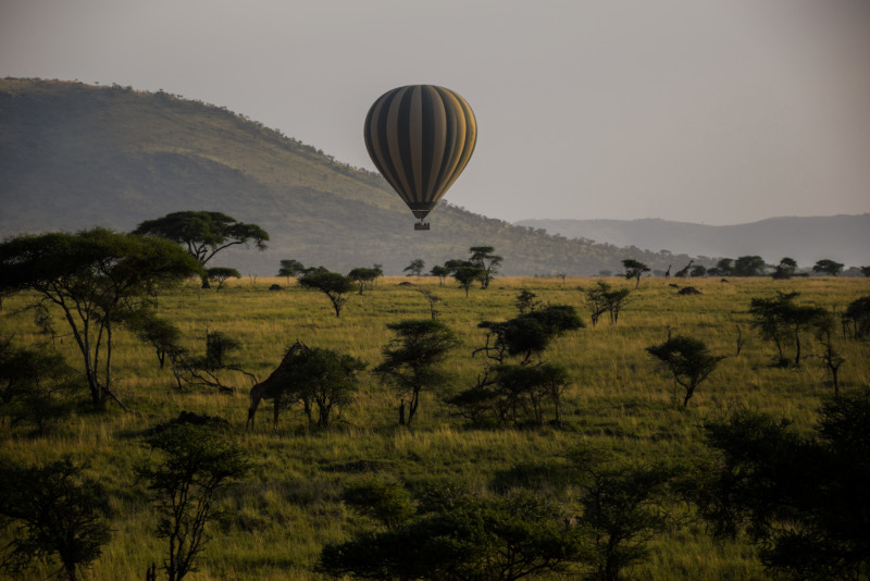 Ein Heißluftballon fliegt über die Serengeti